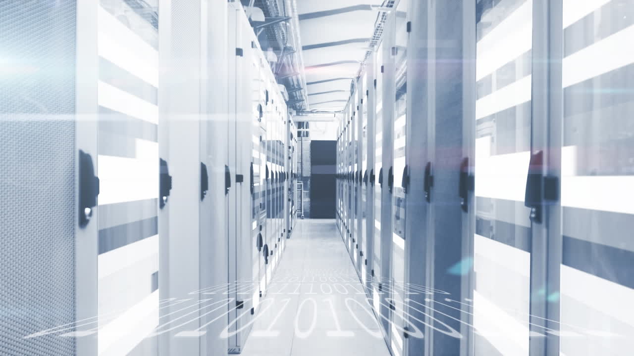 백색 트레일과 바이너리 코딩의 애니메이션 서버  ⁇