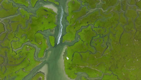 aerial view of a marsh estuary with boat