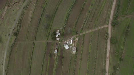 Kulturen,-Die-Auf-Lokaler-Farm-In-Mexiko-Wachsen,-Luftansicht-Von-Oben-Nach-Unten