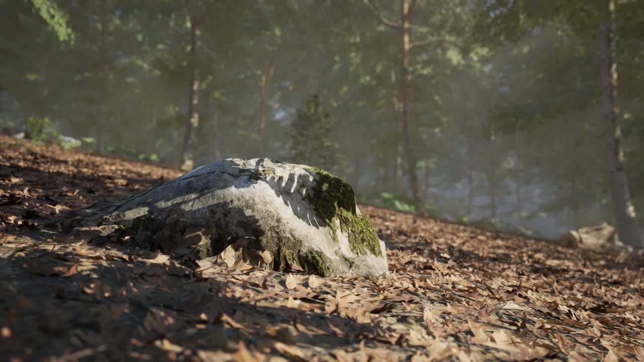 A moss covered rock among autumn leaves in a serene forest setting