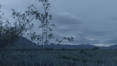 Montar-A-Caballo-En-Campos-De-Agave-Y-Entre-Las-Montañas-En-La-Ciudad-De-Tequila,-Jalisco,-México