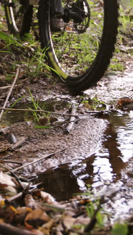 male mountain biker riding in the forest