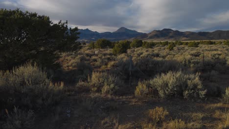 colorado nature with mountains in the background with gimbal video walking in slow motion