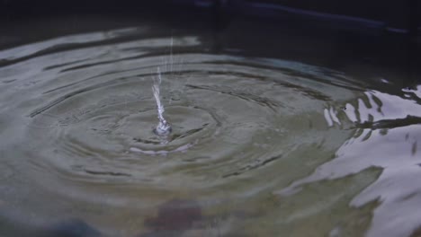 crisp water dropping into a large tub of water on an overcast day with cool tones