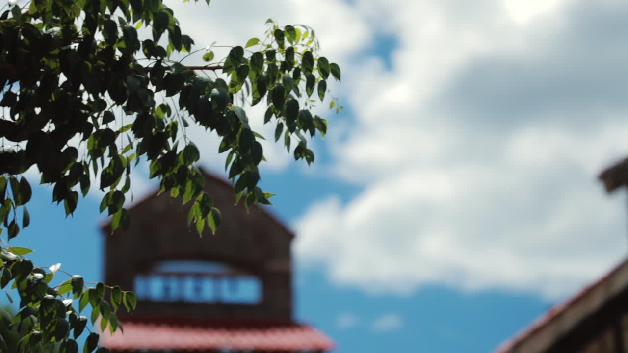 나뭇가지에 초점을 맞춘 채 교회를 날아가는 새의 후속 조치