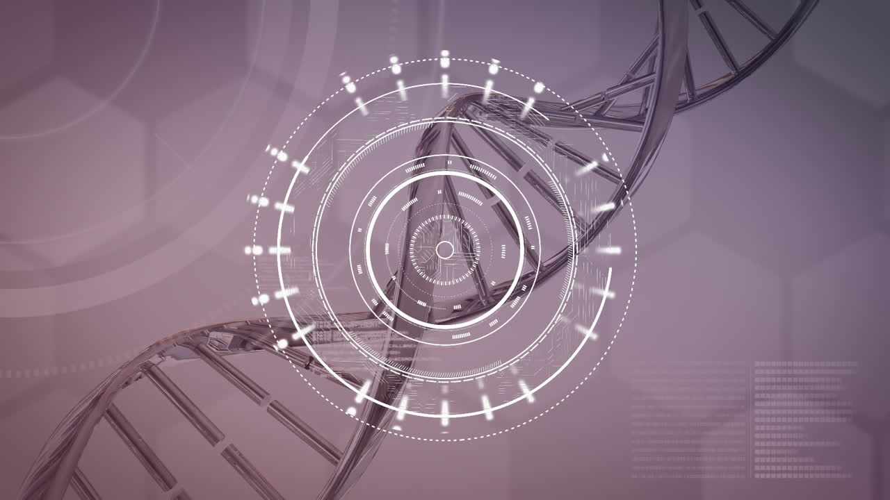 색 반지를 회전시키고 은 보라색 배경에서 dna를 회전시니다.