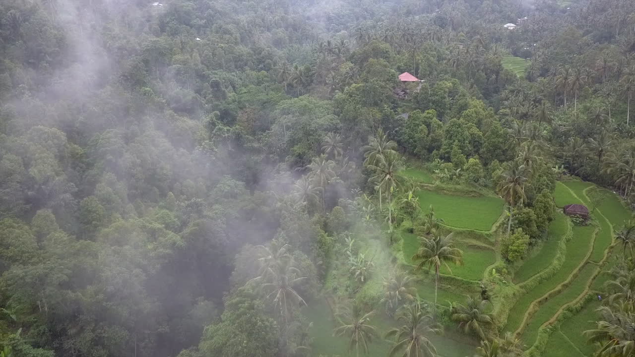 sobrevuelo de nubes bajas sobre un exuberante arrozal verde