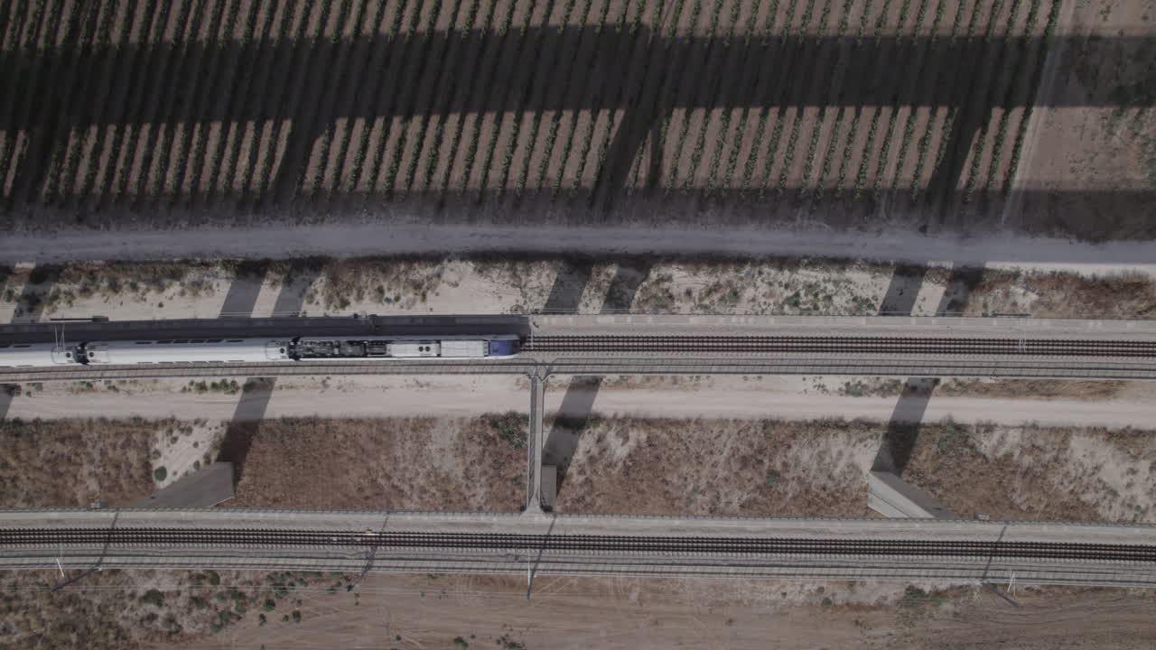 Top down shot of 2 trains crossing next to each other on a massive railway bridge over fields of vineyards(D-LOG)