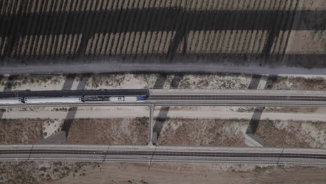 top down shot of 2 trains crossing next to each other on a massive railway bridge over fields of vineyards(d-log)
