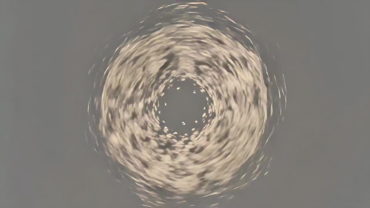 Playback starting, central particle ring spinning, expanding into golden lattice on gray backdrop