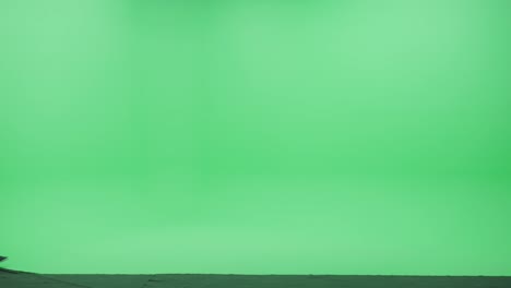 green screen chroma key studio: beautiful woman wearing spring coat uses smartphone device, writes email, does remote online work, browses through internet and social media walks across room