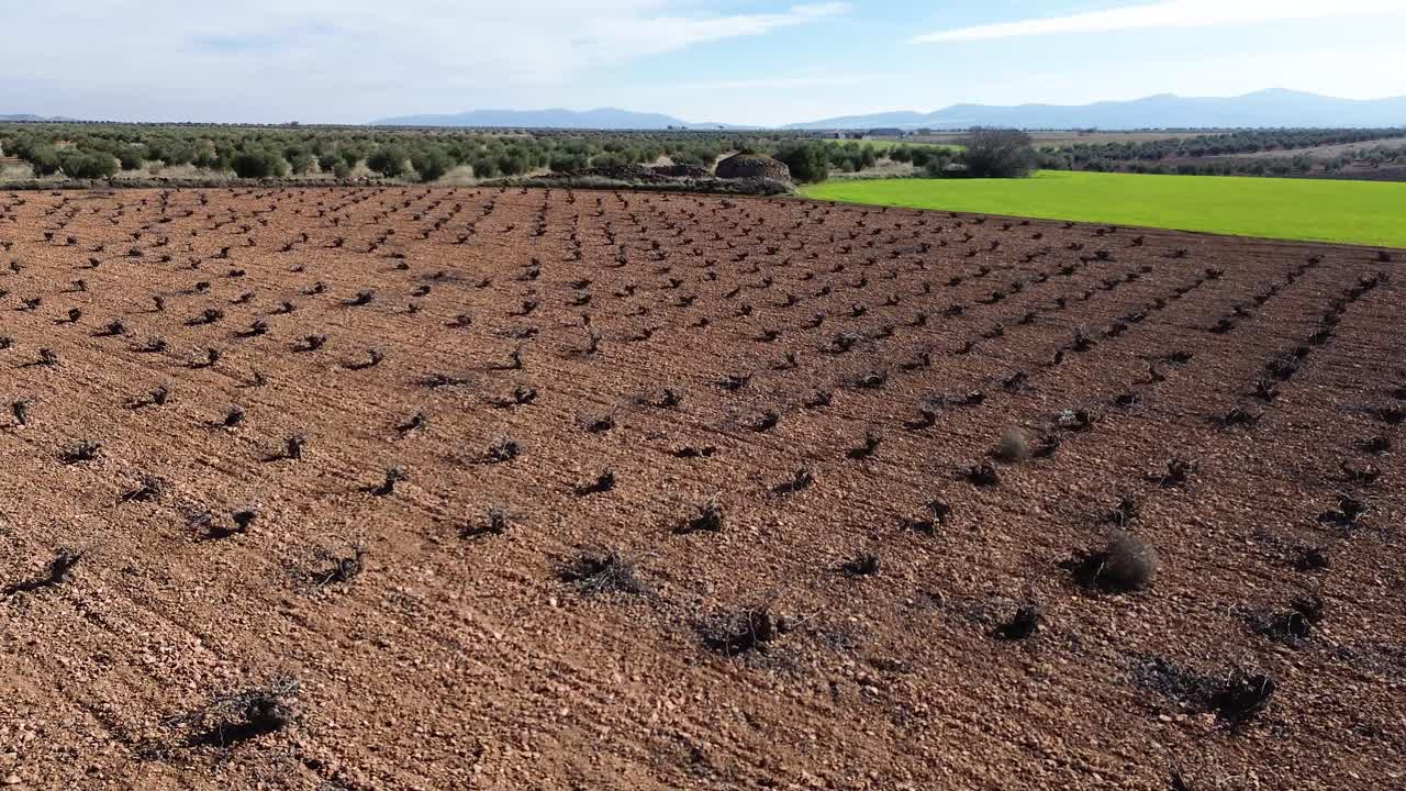 paisaje de viñedo marchito desde una vista de avión no tripulado en un día soleado