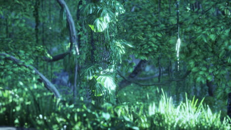 jungle forest trees in deep fog