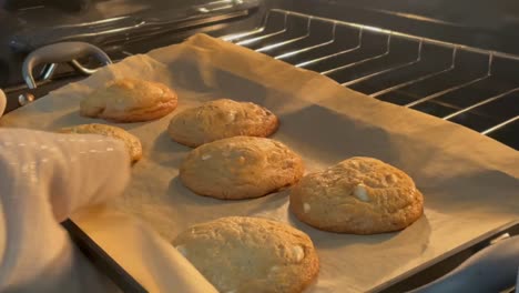 Galletas-Recién-Horneadas-Saliendo-Del-Horno