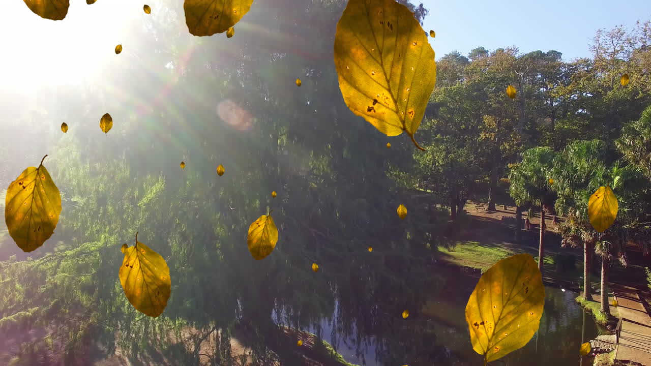 animación de hojas de otoño cayendo contra la vista aérea del parque durante un día soleado