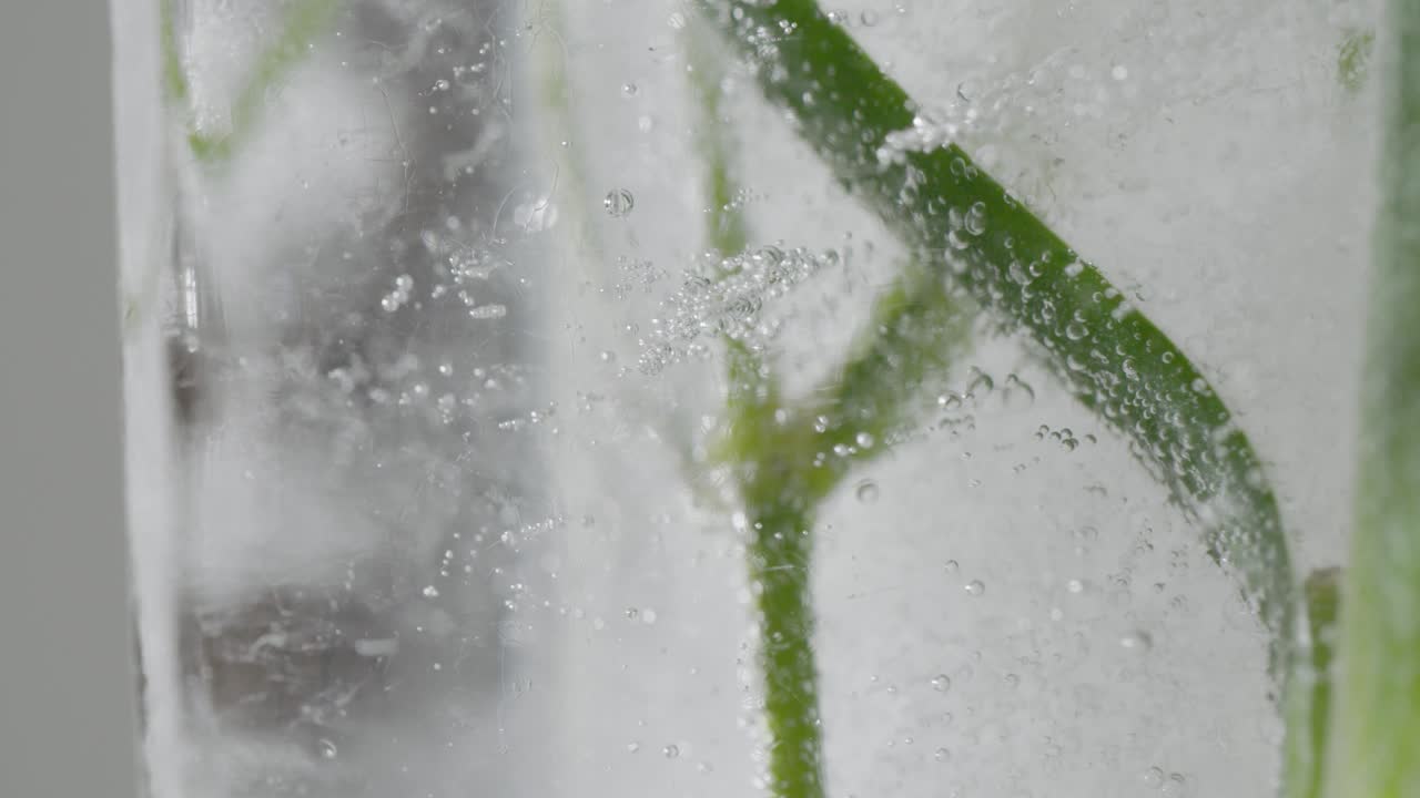 추상적인 얼어붙은 꽃의 매크로