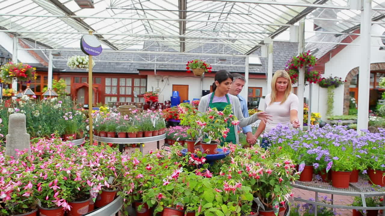 식물 을 보여 주는 보조자