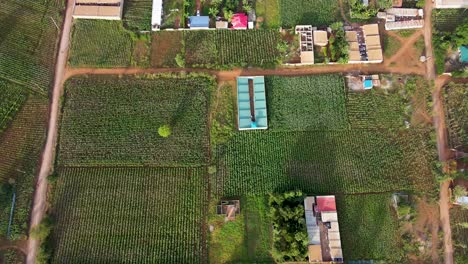 farm farmland landscape rural