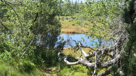 Lake-Hohlohsee-at-the-Highland-Moor-near-Kaltenbronn-in-the-Black-Forest,-Germany