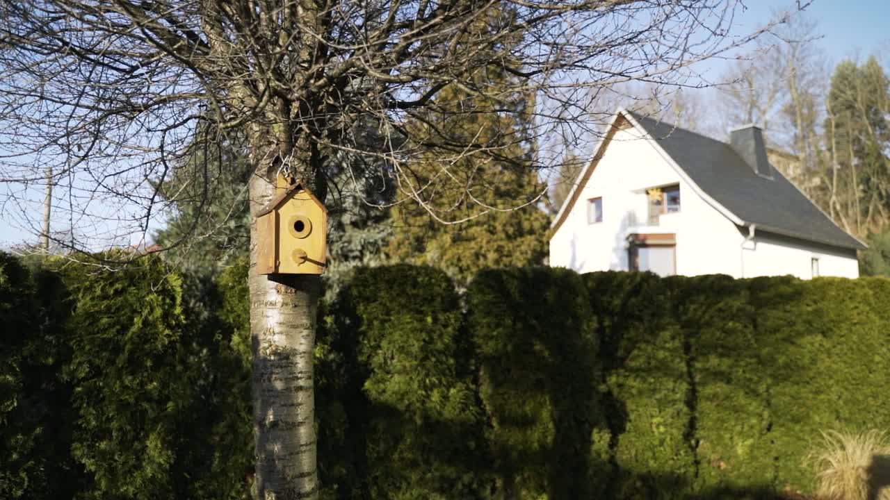 Vogelhuisje hangend aan een boom in een tuin