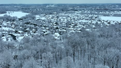 mountain forest on hillside with town homes in valley below