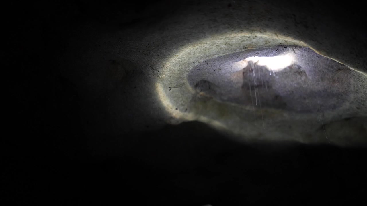 Valo valaisee kalkkikiviluolan muodostelmaa Waitomo-luolan sisällä, jossa on bioluminoivien kiiltomatojen elinympäristö ja pimeä maanalainen tunnelma Uudessa-Seelannissa.