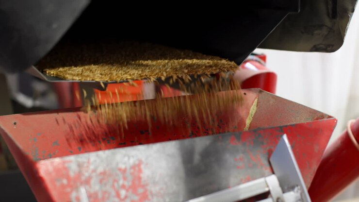 High angle view of wheat thresher machine in warehouse 4k