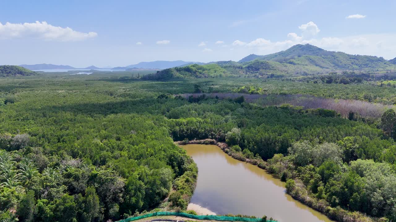 Drone footage captures lush greenery, water bodies, and distant mountains in Phang Nga, Thailand, under bright daylight