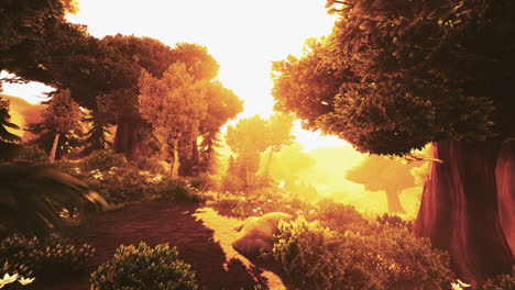 enchanted forest path at sunrise/sunset