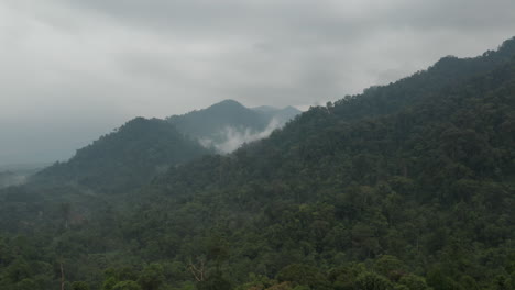 Epischer-Drohnenflug-über-Baumwipfel-Der-üppigen-Regenwaldlandschaft-In-Sumatra,-Indonesien