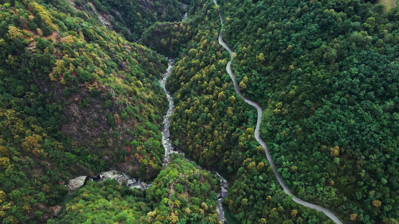 camino sinuoso por un denso bosque verde con un río que fluye por el valle en verano en los alpes de orobie, italia