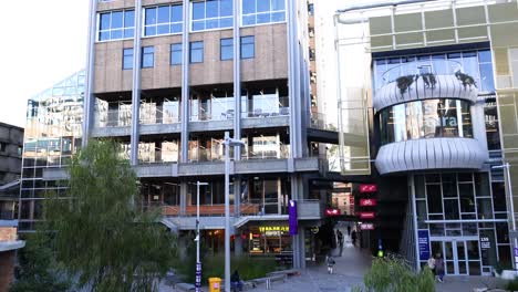 modern buildings and greenery in melbourne