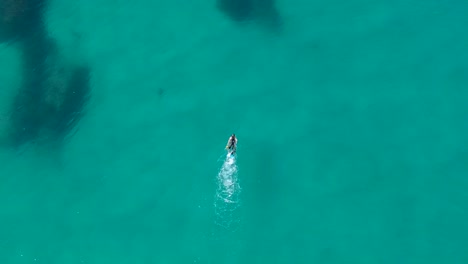 una persona pescando con arpón sobre un arrecife artificial cazando peces usando un fusil de arpón