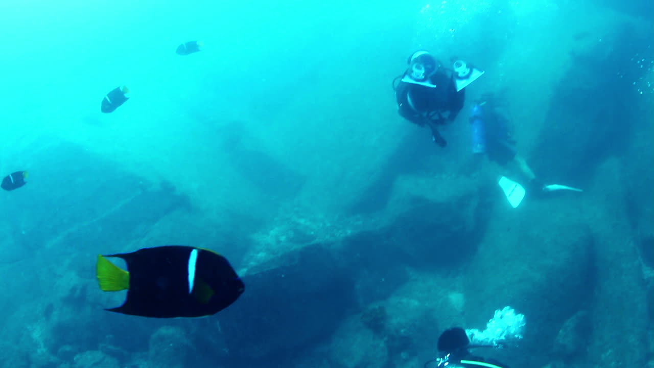 멕시코 다이빙 0 30