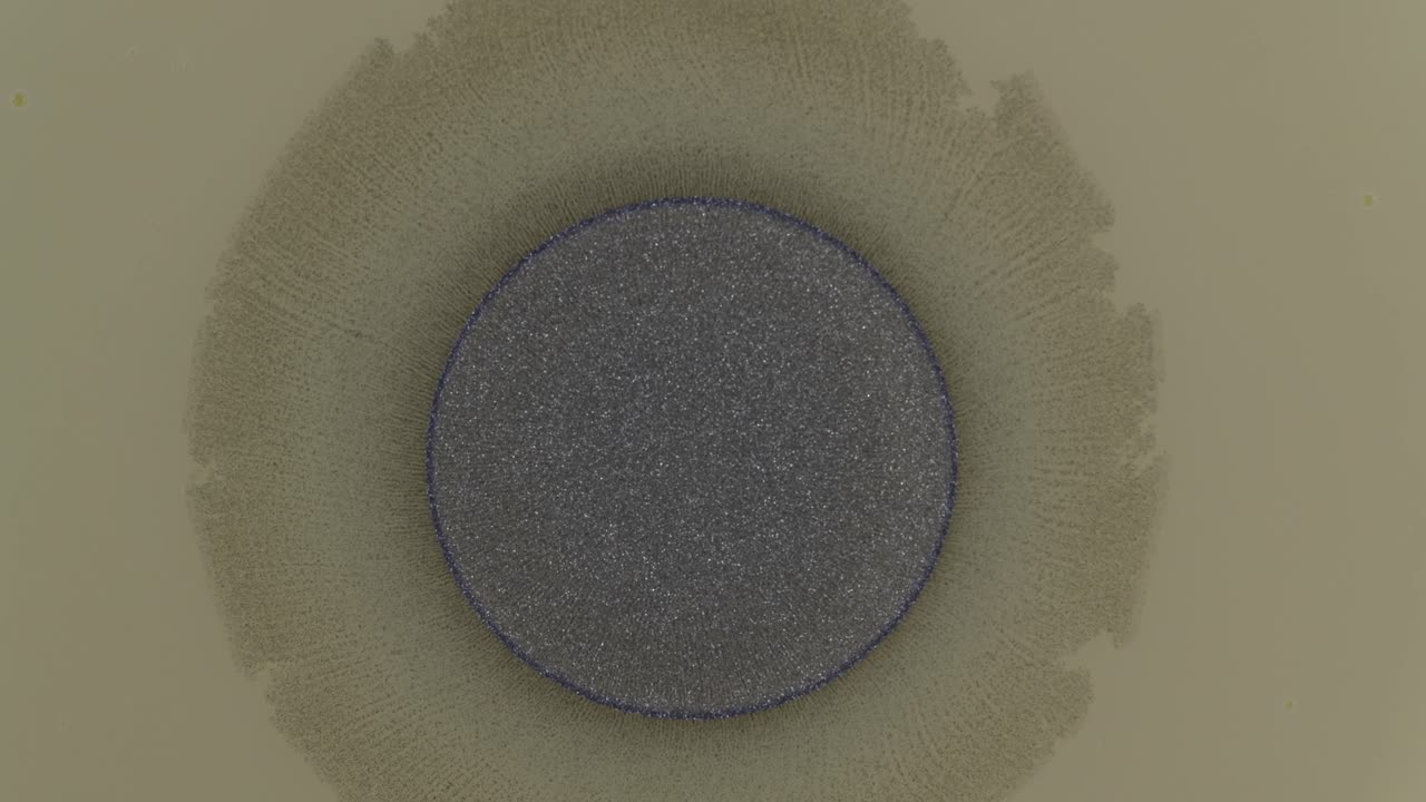 거실 벽에 이상한 일이 일어난 영상