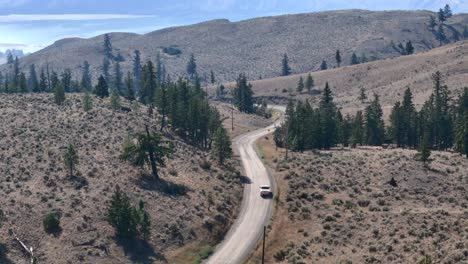 overhead expedition: pickup truck roaming deserted forested path