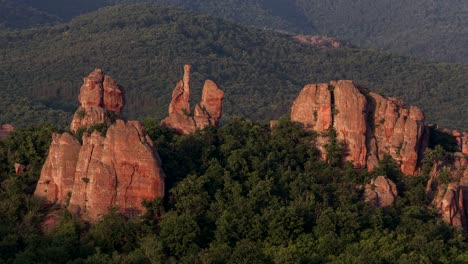 rocks forest time lapse 4k