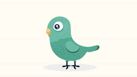 little and cute parrot animation