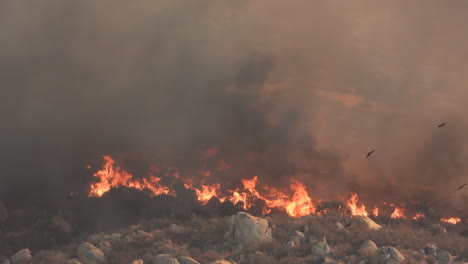 black smoke emission from burning of trash comprising