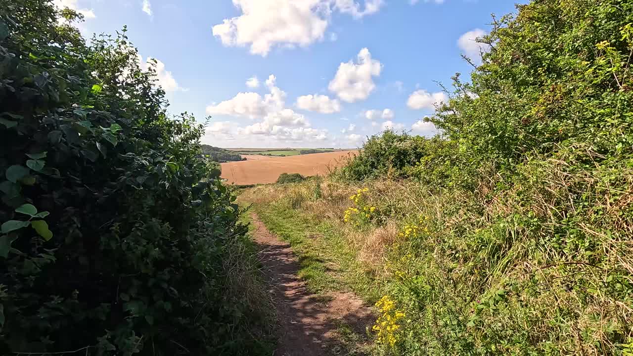 un paseo por un sendero exuberante y pintoresco