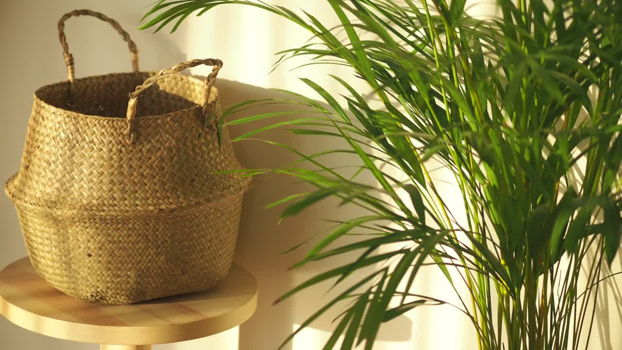 Sunlit interior with a woven straw basket on a wooden stool and a green houseplant