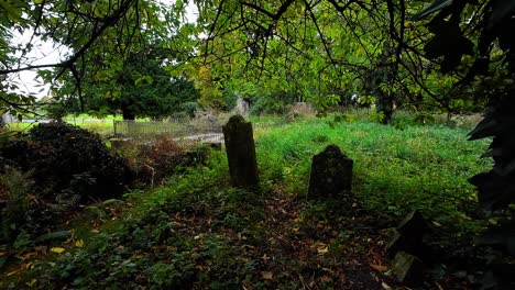 overgrown cemetery with ancient gravestones
