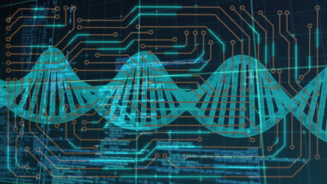 Animación-Del-Patrón-De-La-Placa-De-Circuito-Sobre-La-Hélice-Del-ADN-Contra-El-Lenguaje-Informático-Sobre-Fondo-Negro.
