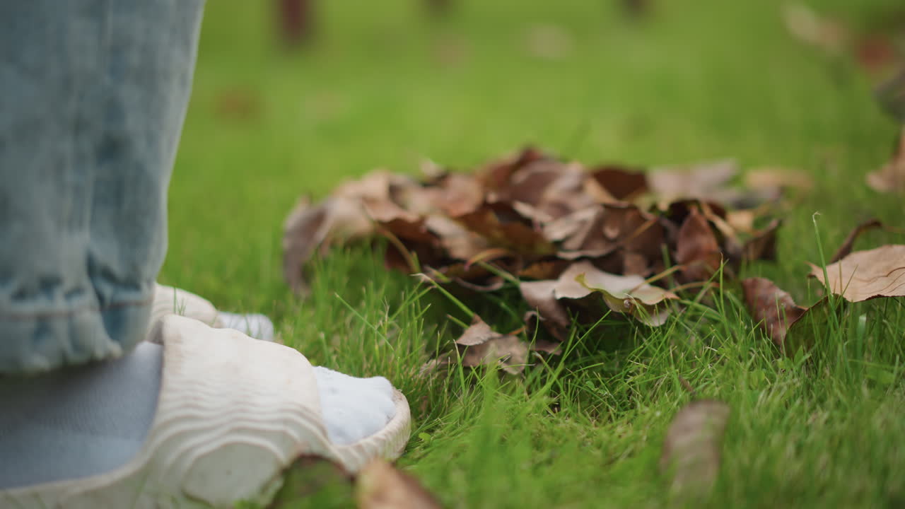 Closeup socked foot pushing leaf pile, active backyard cleanup with jeans leg and visible rake tines gathering crisp brown leaves, dynamic motion, seasonal garden maintenance, energetic weekend chore