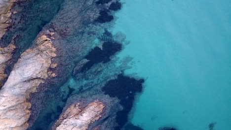 birds eye view of sea and rocks in south of france, cote d'azure