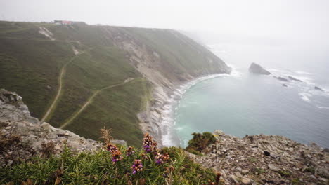 Flora-Hierbas-Pico-Asturias-España-Refugio-Amplio