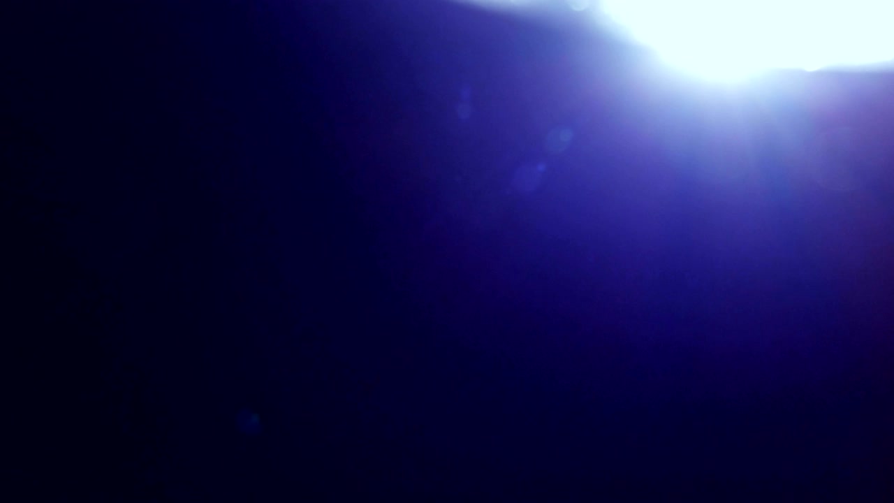 빛 누출 요소 446