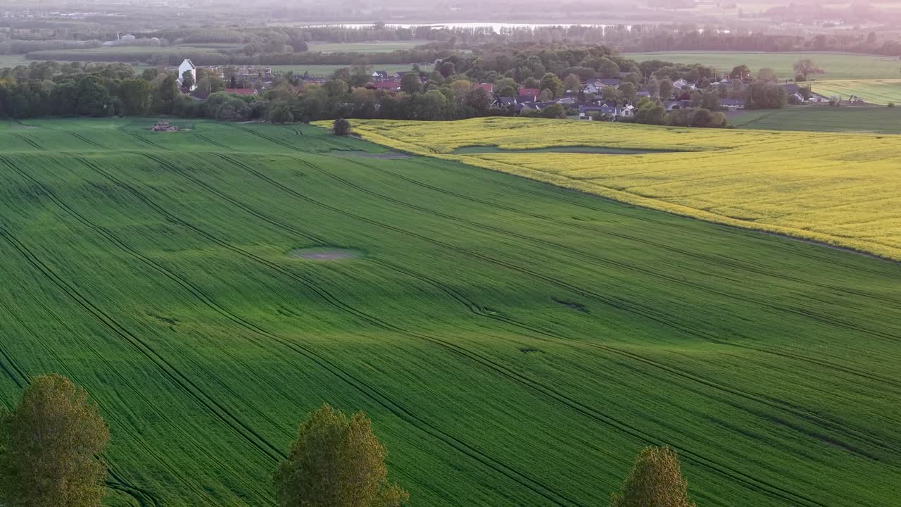 Drone footage of lush green farmland with visible crop rows and scattered trees near the horizon