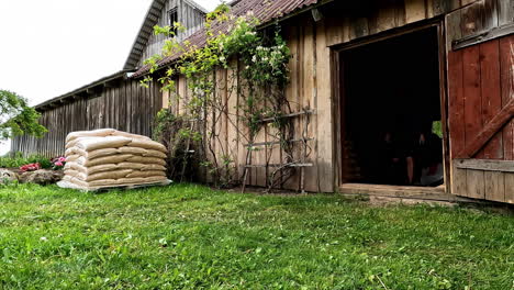 Timelapse-of-a-man-moving-bags-of-wood-pellets-inside-a-wooden-shed-before-rains