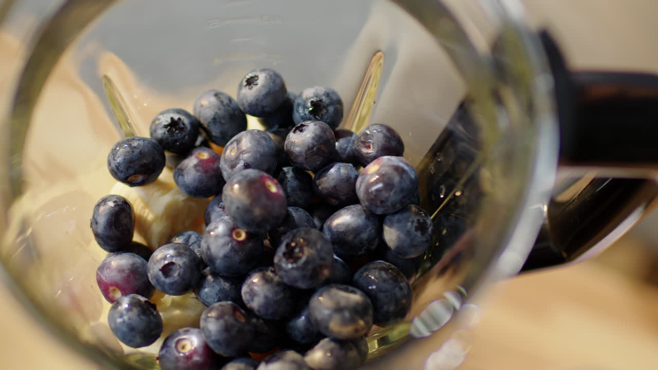 Fresh Blueberries in Blender